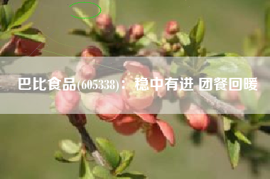 巴比食品(605338)：稳中有进 团餐回暖