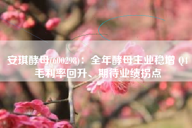 安琪酵母(600298)：全年酵母主业稳增 Q4毛利率回升、期待业绩拐点