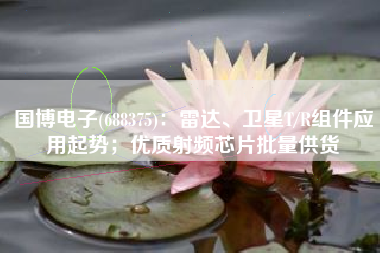 国博电子(688375)：雷达、卫星T/R组件应用起势；优质射频芯片批量供货