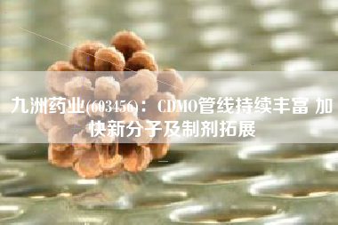 九洲药业(603456)：CDMO管线持续丰富 加快新分子及制剂拓展