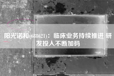 阳光诺和(688621)：临床业务持续推进 研发投入不断加码