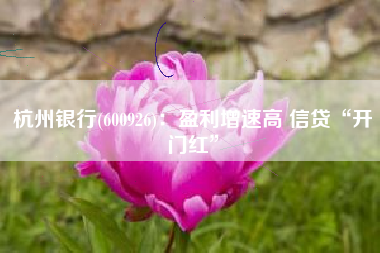 杭州银行(600926)：盈利增速高 信贷“开门红”