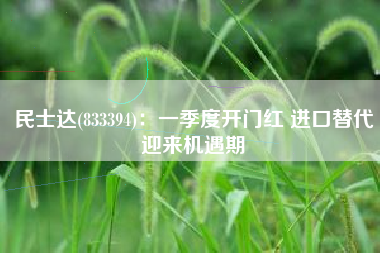 民士达(833394)：一季度开门红 进口替代迎来机遇期
