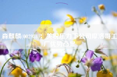 森麒麟(002984)：关税压力下公司摩洛哥工厂优势凸显