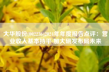 大华股份(002236)2024年年度报告点评：营业收入基本持平 加大研发布局未来