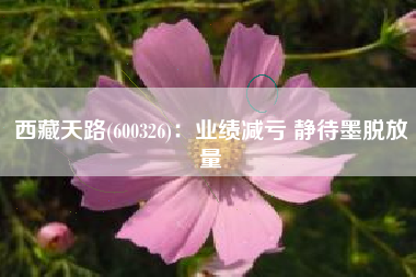 西藏天路(600326)：业绩减亏 静待墨脱放量