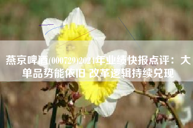 燕京啤酒(000729)2024年业绩快报点评：大单品势能依旧 改革逻辑持续兑现