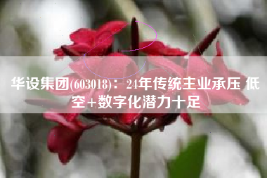 华设集团(603018)：24年传统主业承压 低空+数字化潜力十足