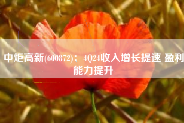中炬高新(600872)：4Q24收入增长提速 盈利能力提升