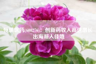 恒瑞医药(600276)：创新药收入高速增长 出海渐入佳境