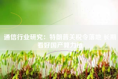 通信行业研究：特朗普关税令落地 长期看好国产算力链