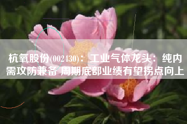 杭氧股份(002430)：工业气体龙头：纯内需攻防兼备 周期底部业绩有望拐点向上