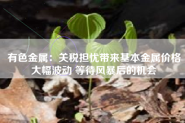 有色金属：关税担忧带来基本金属价格大幅波动 等待风暴后的机会