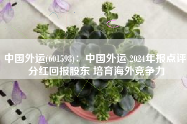 中国外运(601598)：中国外运 2024年报点评 分红回报股东 培育海外竞争力