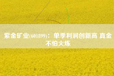 紫金矿业(601899)：单季利润创新高 真金不怕火炼