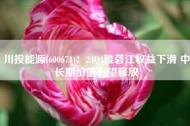川投能源(600674)：24Q4雅砻江收益下滑 中长期价值有望释放