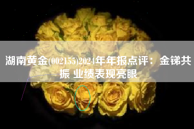 湖南黄金(002155)2024年年报点评：金锑共振 业绩表现亮眼