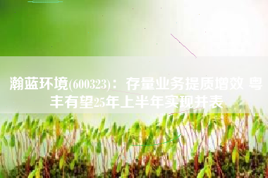 瀚蓝环境(600323)：存量业务提质增效 粤丰有望25年上半年实现并表
