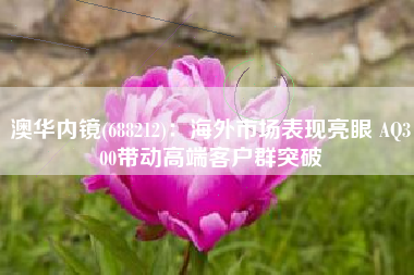 澳华内镜(688212)：海外市场表现亮眼 AQ300带动高端客户群突破