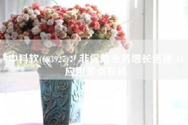 中科软(603927)：非保险业务增长迅速 AI应用多点布局
