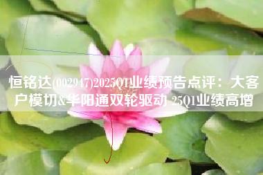 恒铭达(002947)2025Q1业绩预告点评：大客户模切&华阳通双轮驱动 25Q1业绩高增