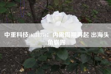 中重科技(603135)：内需周期再起 出海头角崭露