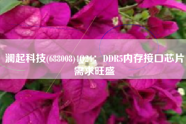 澜起科技(688008)4Q24：DDR5内存接口芯片需求旺盛