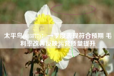 太平鸟(603877)：一季度表现符合预期 毛利率改善反映运营质量提升