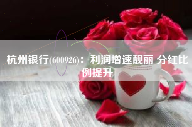杭州银行(600926)：利润增速靓丽 分红比例提升