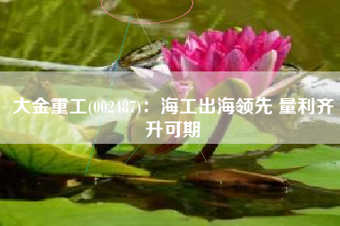 大金重工(002487)：海工出海领先 量利齐升可期