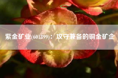 紫金矿业(601899)：攻守兼备的铜金矿企