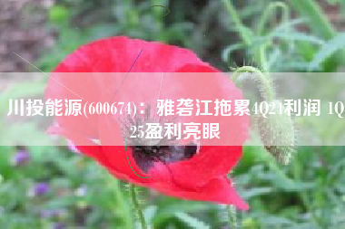 川投能源(600674)：雅砻江拖累4Q24利润 1Q25盈利亮眼