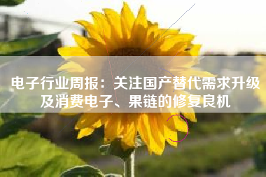 电子行业周报：关注国产替代需求升级及消费电子、果链的修复良机