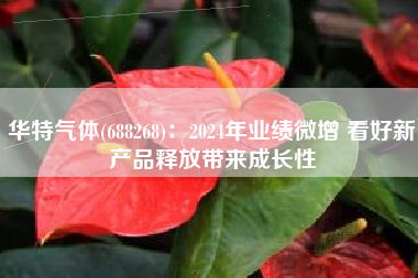 华特气体(688268)：2024年业绩微增 看好新产品释放带来成长性