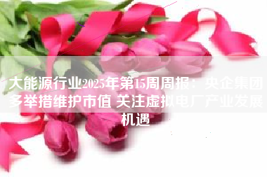 大能源行业2025年第15周周报：央企集团多举措维护市值 关注虚拟电厂产业发展机遇