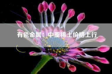 有色金属：中重稀土价格上行