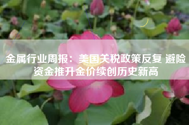 金属行业周报：美国关税政策反复 避险资金推升金价续创历史新高