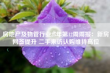 房地产及物管行业25年第12周周报：新房网签提升 二手来访认购维持高位
