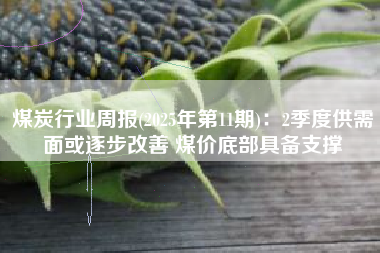 煤炭行业周报(2025年第11期)：2季度供需面或逐步改善 煤价底部具备支撑