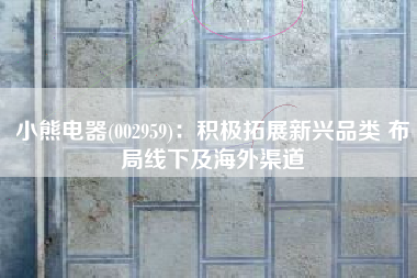 小熊电器(002959)：积极拓展新兴品类 布局线下及海外渠道