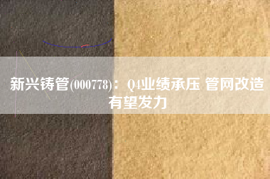 新兴铸管(000778)：Q4业绩承压 管网改造有望发力