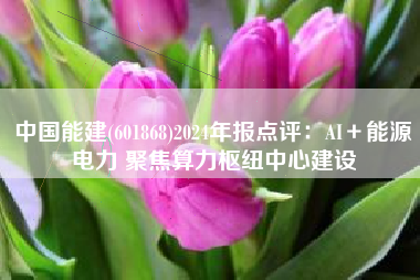 中国能建(601868)2024年报点评：AI＋能源电力 聚焦算力枢纽中心建设
