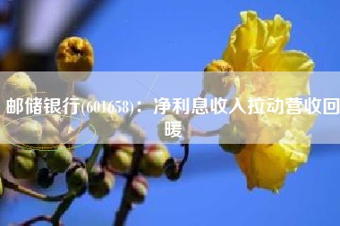 邮储银行(601658)：净利息收入拉动营收回暖