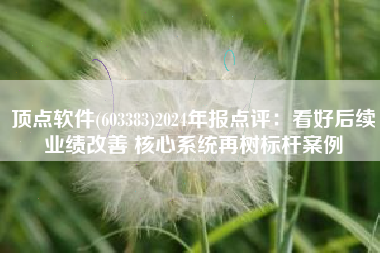 顶点软件(603383)2024年报点评：看好后续业绩改善 核心系统再树标杆案例