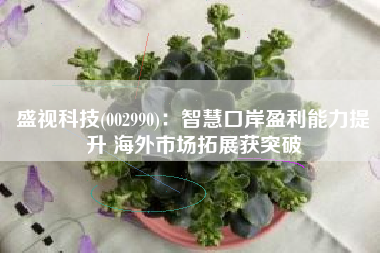 盛视科技(002990)：智慧口岸盈利能力提升 海外市场拓展获突破