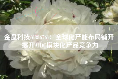 金盘科技(688676)：全球化产能布局铺开 提升AIDC模块化产品竞争力