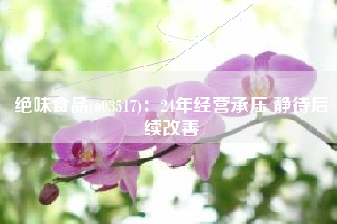 绝味食品(603517)：24年经营承压 静待后续改善