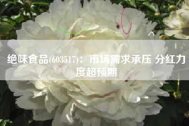 绝味食品(603517)：市场需求承压 分红力度超预期