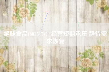 绝味食品(603517)：经营短期承压 静待需求恢复