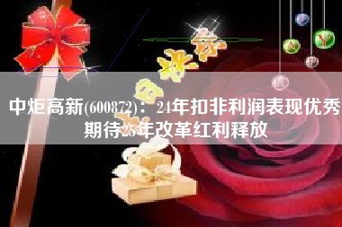 中炬高新(600872)：24年扣非利润表现优秀 期待25年改革红利释放